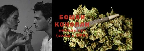 ПСИЛОЦИБИНОВЫЕ ГРИБЫ Белоозёрский