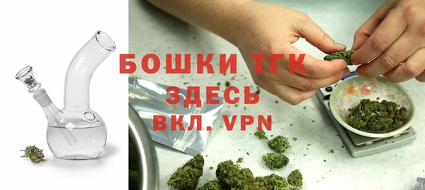 ПСИЛОЦИБИНОВЫЕ ГРИБЫ Белоозёрский