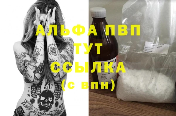дмт Белокуриха