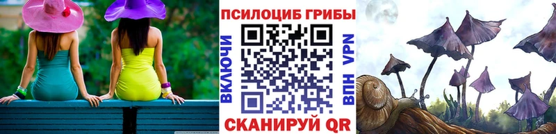 Галлюциногенные грибы прущие грибы  Волоколамск 